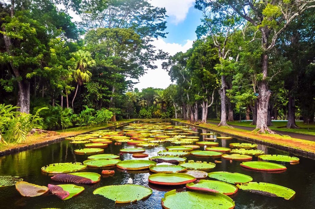 North Tour Mauritius