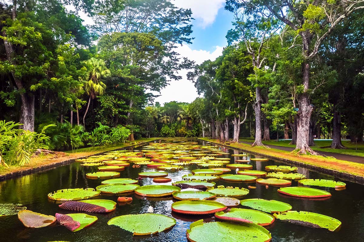 North Tour Mauritius